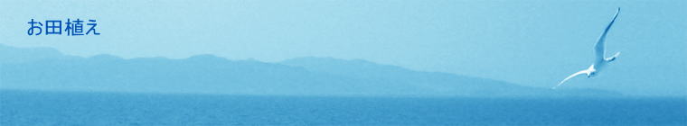 ���c�A��